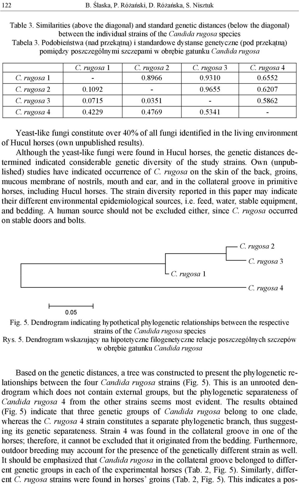 Podobieństwa (nad przekątną) i standardowe dystanse genetyczne (pod przekątną) pomiędzy poszczególnymi szczepami w obrębie gatunku Candida rugosa.89.