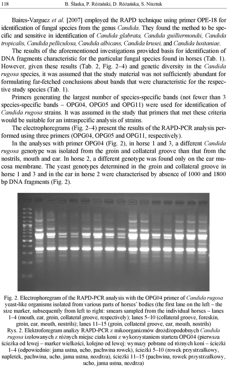 Candida lusitaniae. The results of the aforementioned investigations provided basis for identification of DNA fragments characteristic for the particular fungal species found in horses (Tab. ).