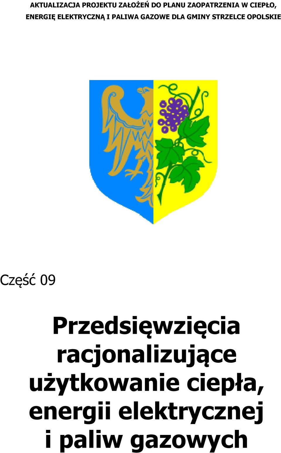 STRZELCE OPOLSKIE Część 09 Przedsięwzięcia