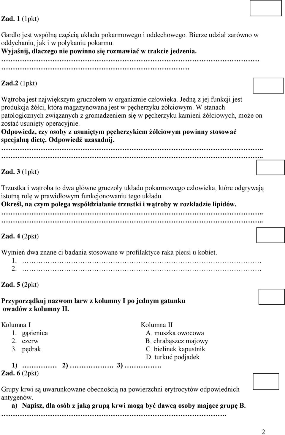 Jedną z jej funkcji jest produkcja żółci, która magazynowana jest w pęcherzyku żółciowym.