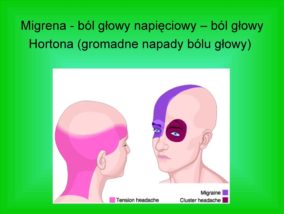 głowy Hortona