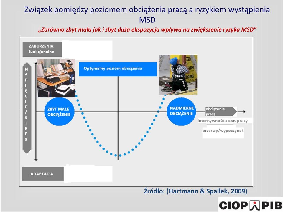 jak i zbyt duża ekspozycja wpływa na