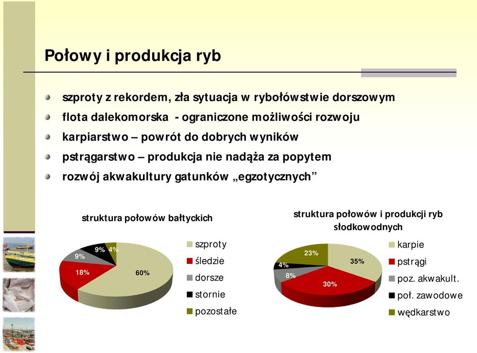 akwakultury gatunków egzotycznych struktura po owów ba tyckich 9% 4% 9% 18% 60% szproty ledzie dorsze stornie