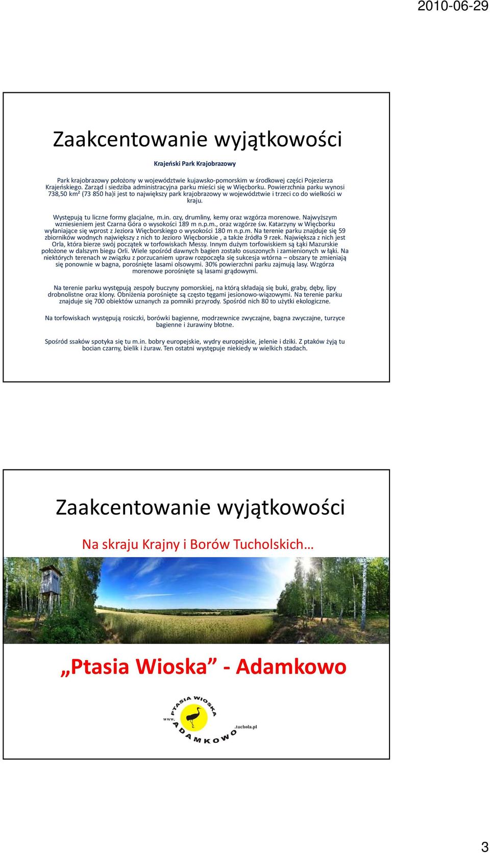 Występują tu liczne formy glacjalne, m.in. ozy, drumliny, kemy oraz wzgórza morenowe. Najwyższym wzniesieniem jest Czarna Góra o wysokości 189 m n.p.m., oraz wzgórze św.