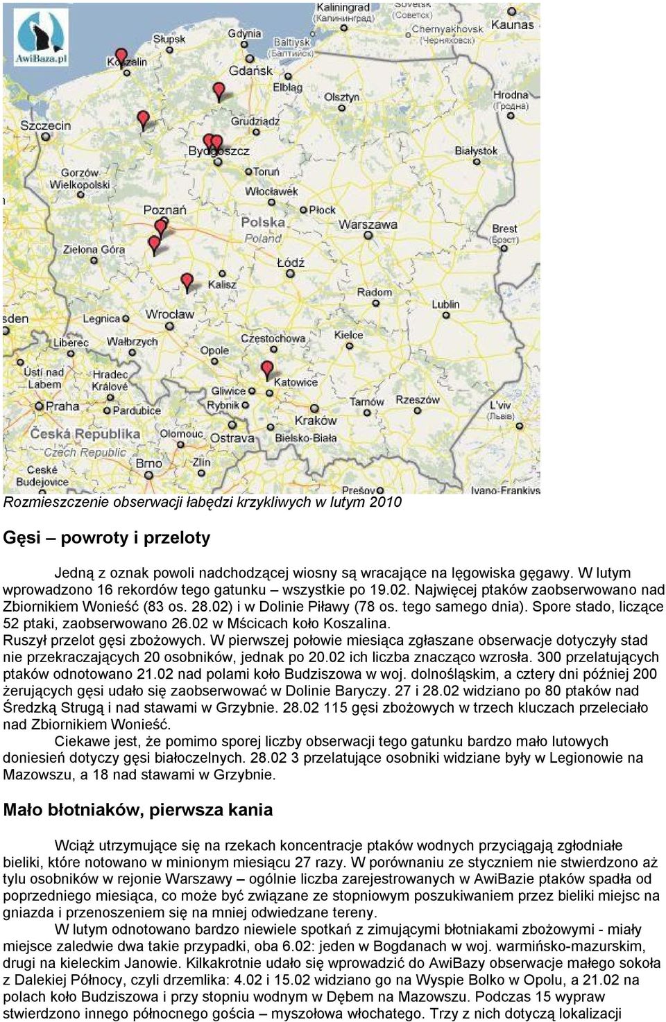 Spore stado, liczące 52 ptaki, zaobserwowano 26.02 w Mścicach koło Koszalina. Ruszył przelot gęsi zbożowych.