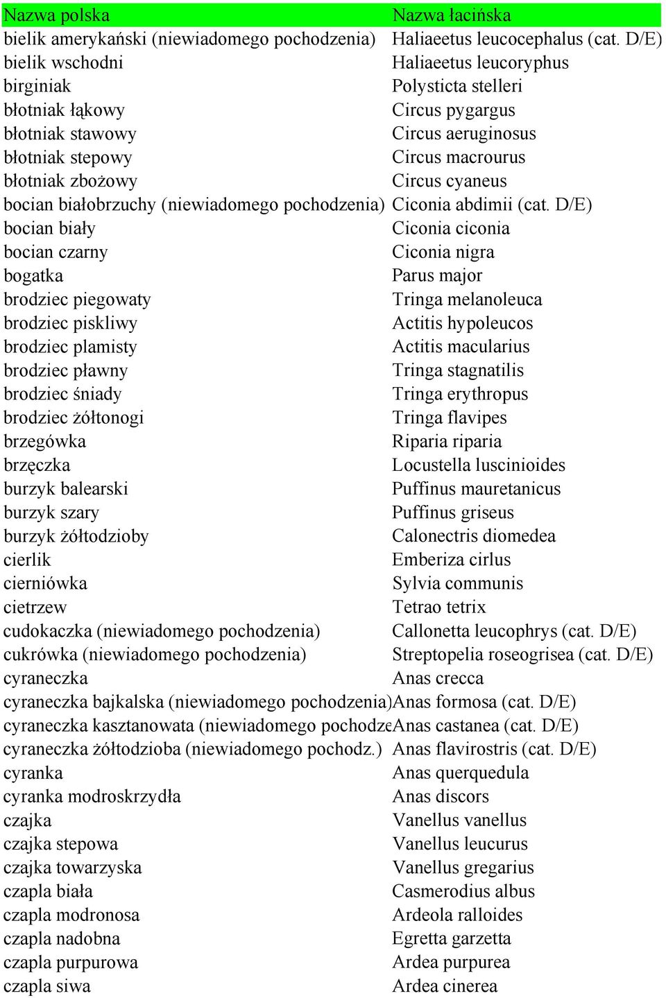 cyaneus bocian białobrzuchy (niewiadomego pochodzenia) Ciconia abdimii (cat.