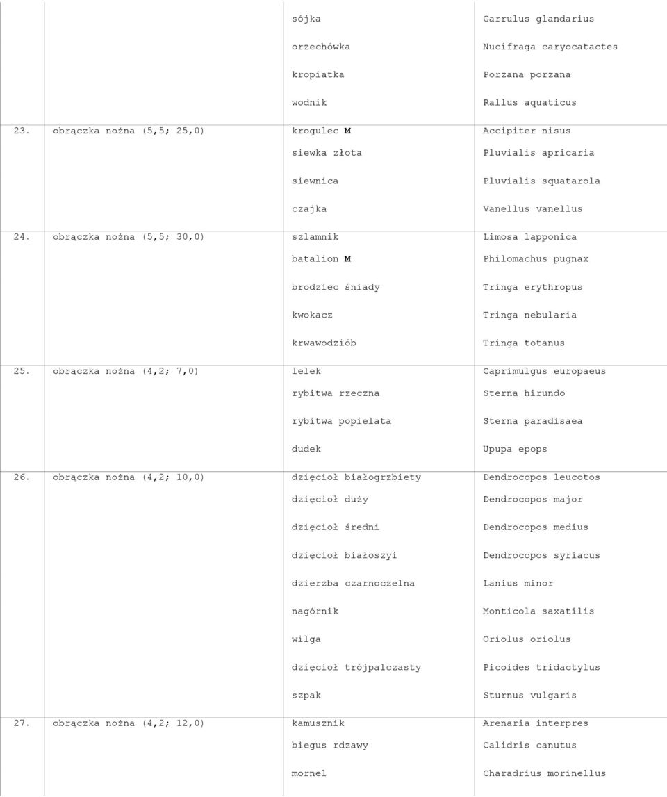 obrączka nożna (5,5; 30,0) szlamnik Limosa lapponica batalion M Philomachus pugnax brodziec śniady Tringa erythropus kwokacz Tringa nebularia krwawodziób Tringa totanus 25.