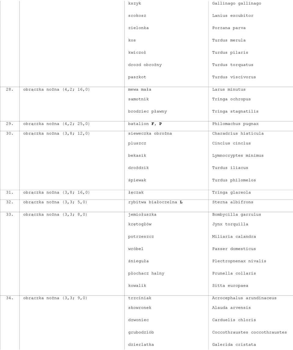 obrączka nożna (3,8; 12,0) sieweczka obrożna Charadrius hiaticula pluszcz Cinclus cinclus bekasik Lymnocryptes minimus droździk Turdus iliacus śpiewak Turdus philomelos 31.