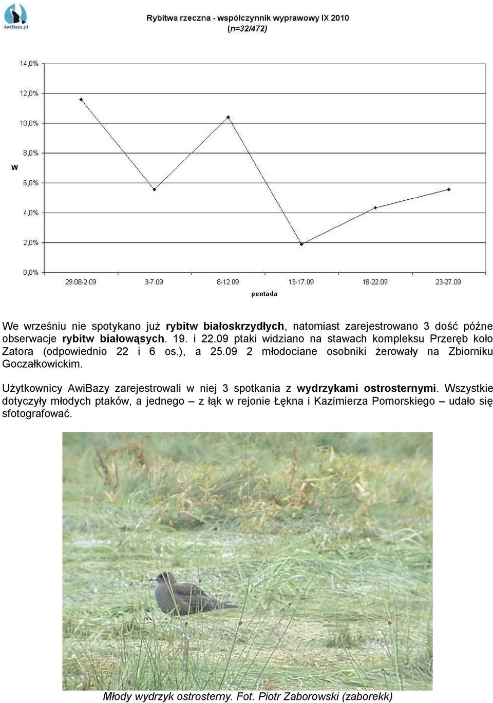 09 2 młodociane osobniki żerowały na Zbiorniku Goczałkowickim.