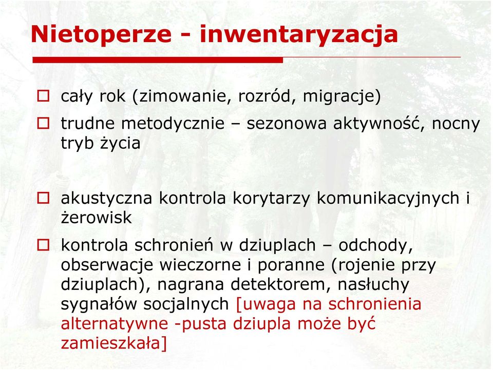 schronień w dziuplach odchody, obserwacje wieczorne i poranne (rojenie przy dziuplach), nagrana