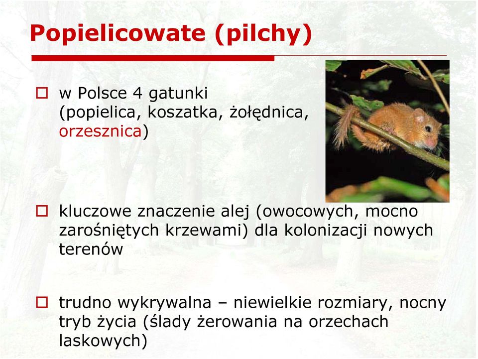 zarośniętych krzewami) dla kolonizacji nowych terenów trudno