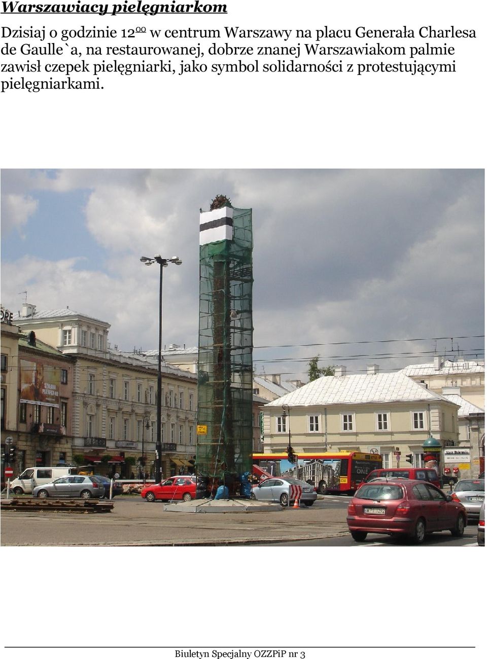 restaurowanej, dobrze znanej Warszawiakom palmie zawisł