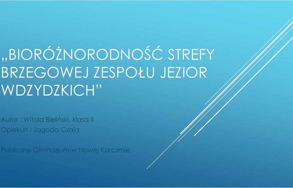 Witold Bieliński, klasa II Opiekun :