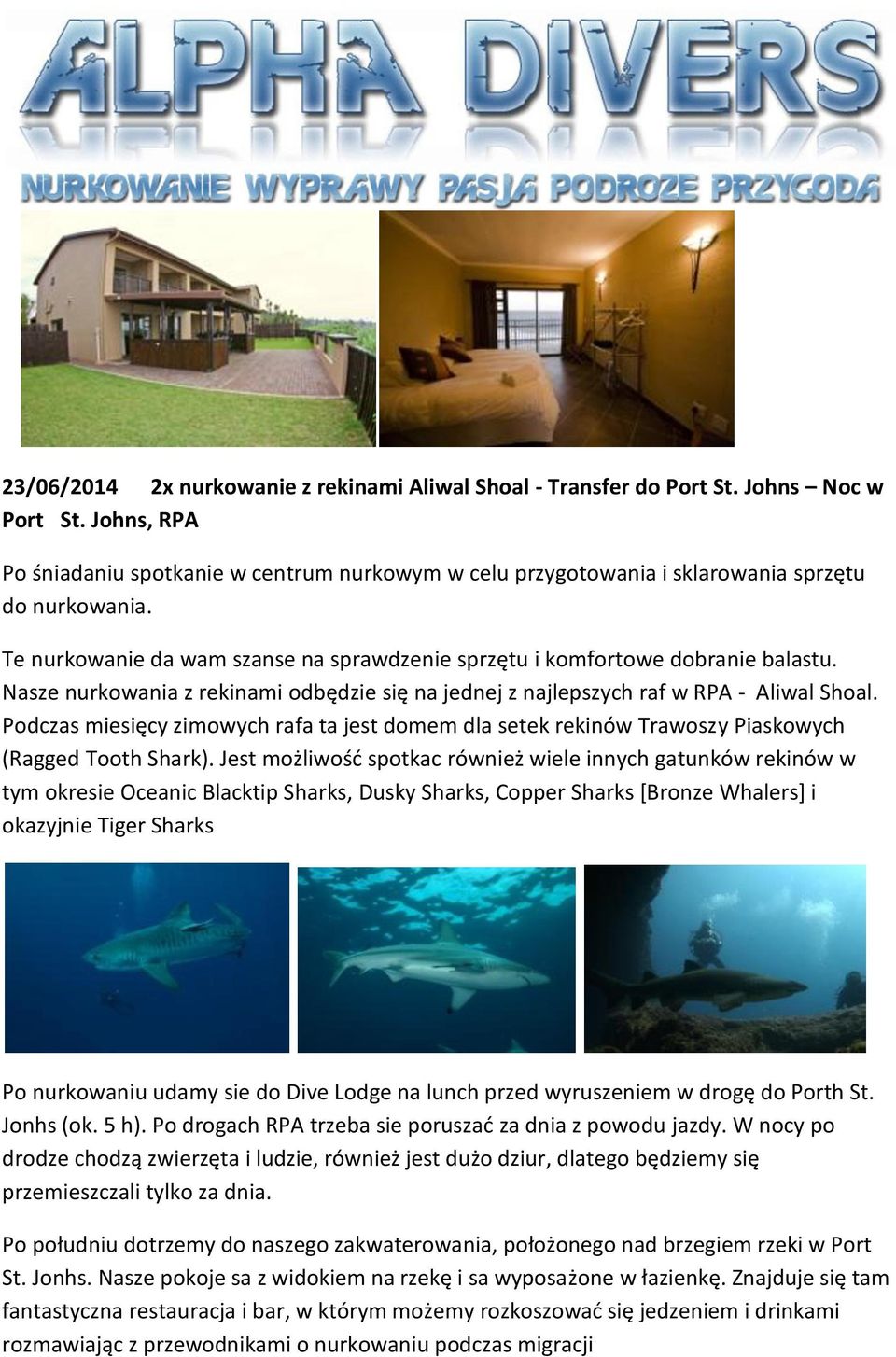 Nasze nurkowania z rekinami odbędzie się na jednej z najlepszych raf w RPA - Aliwal Shoal. Podczas miesięcy zimowych rafa ta jest domem dla setek rekinów Trawoszy Piaskowych (Ragged Tooth Shark).
