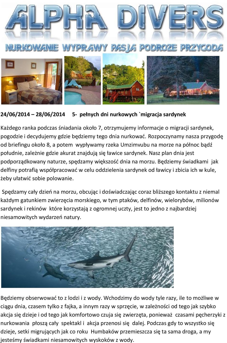 Nasz plan dnia jest podporządkowany naturze, spędzamy większość dnia na morzu.