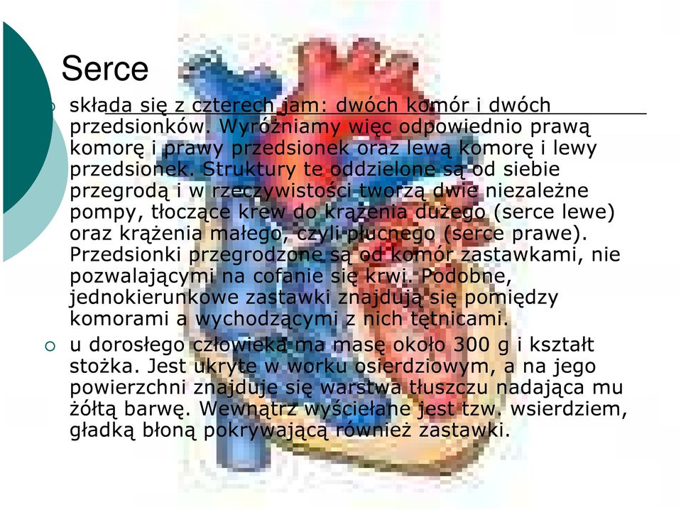 Przedsionki przegrodzone są od komór zastawkami, nie pozwalającymi na cofanie się krwi. Podobne, jednokierunkowe zastawki znajdują się pomiędzy komorami a wychodzącymi z nich tętnicami.