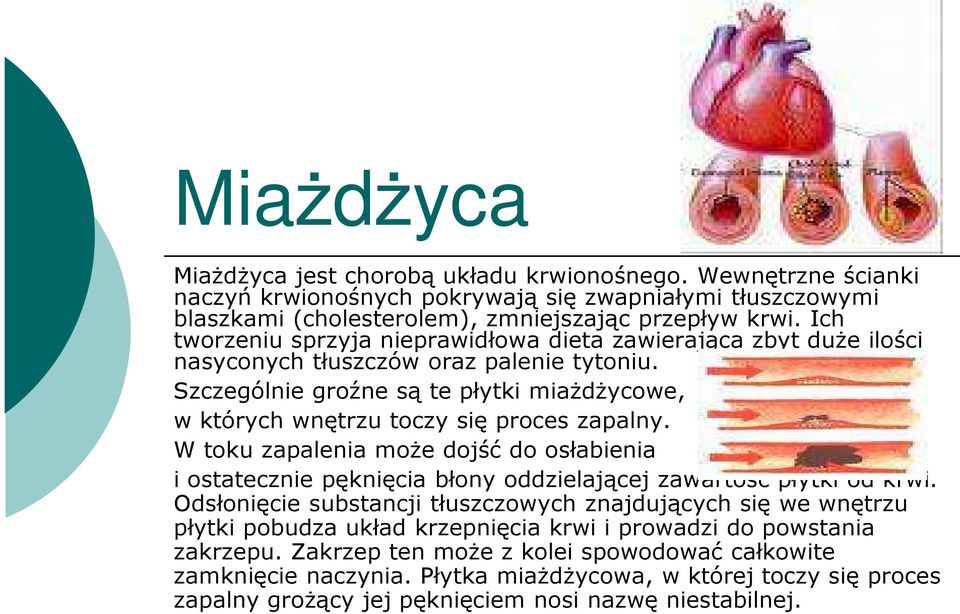 Szczególnie groźne są te płytki miaŝdŝycowe, w których wnętrzu toczy się proces zapalny. W toku zapalenia moŝe dojść do osłabienia i ostatecznie pęknięcia błony oddzielającej zawartość płytki od krwi.