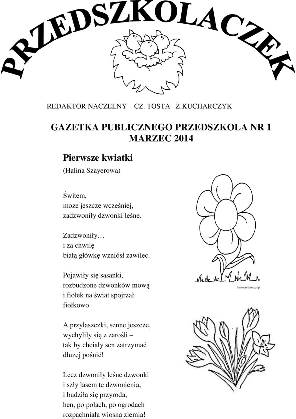 dzwonki leśne. Zadzwoniły i za chwilę białą główkę wzniósł zawilec.