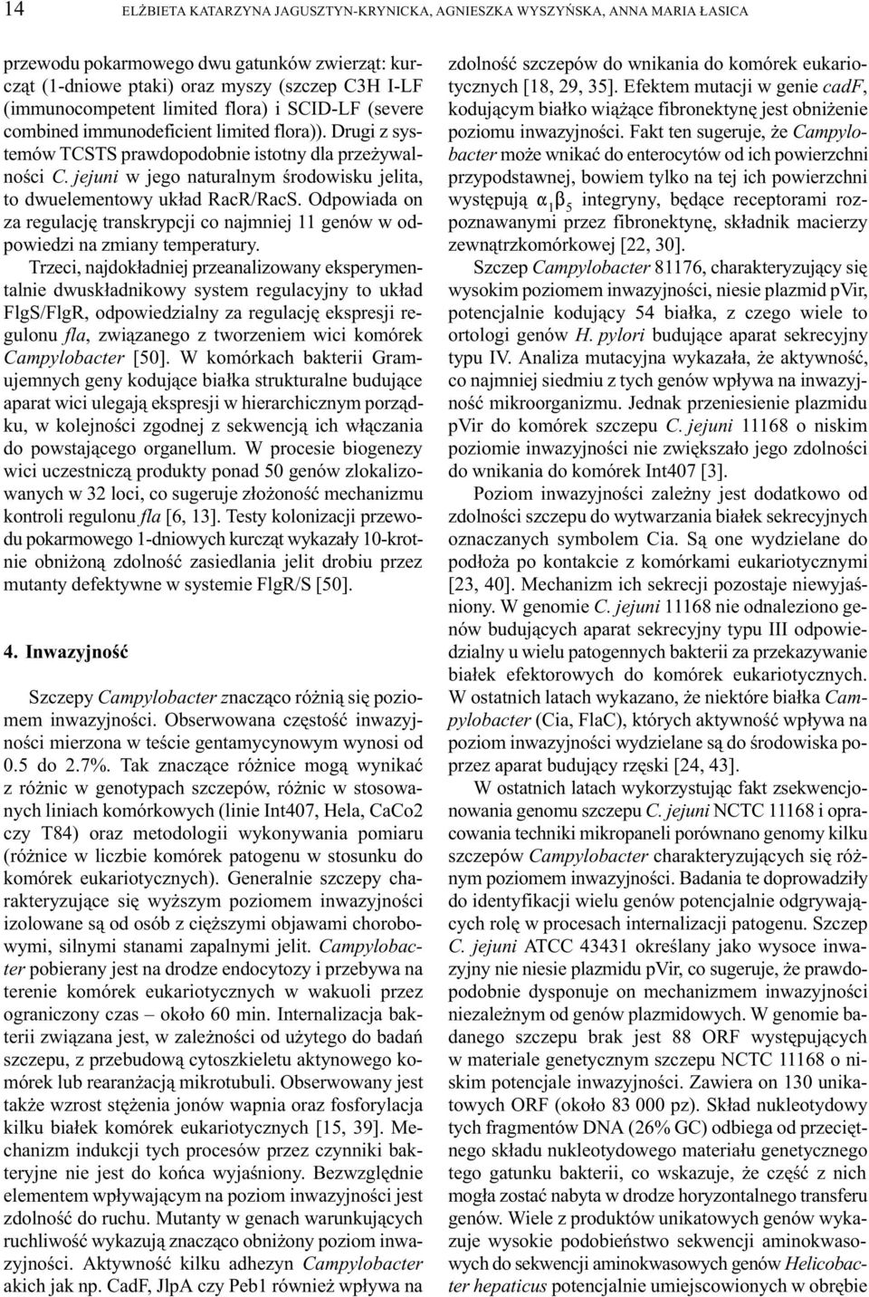 jejuni w jego naturalnym œrodowisku jelita, to dwuelementowy uk³ad RacR/RacS. Odpowiada on za regulacjê transkrypcji co najmniej 11 genów w odpowiedzi na zmiany temperatury.