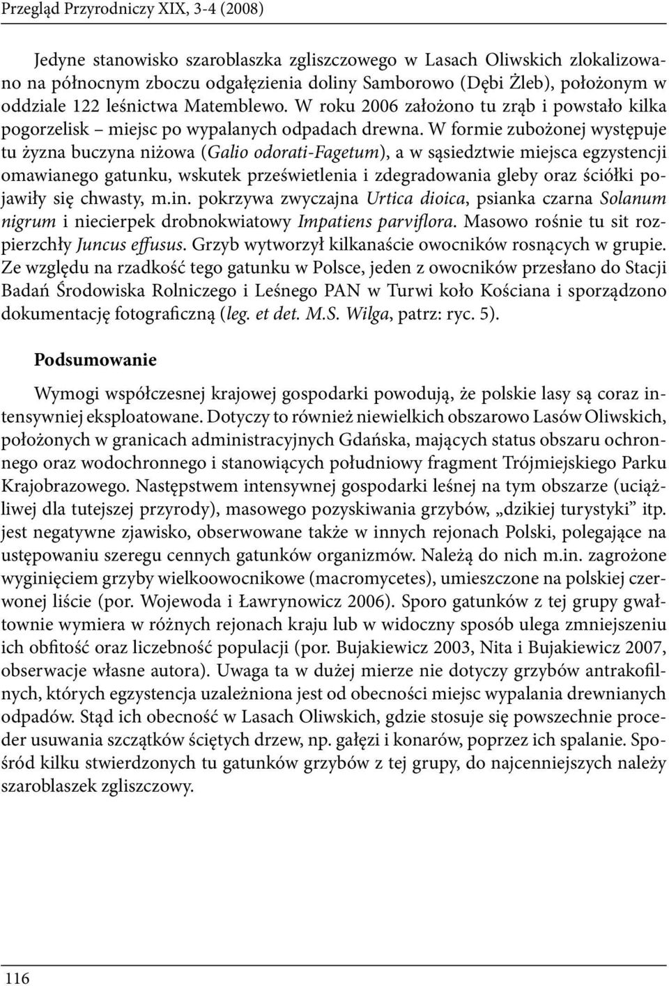 W formie zubożonej występuje tu żyzna buczyna niżowa (Galio odorati-fagetum), a w sąsiedztwie miejsca egzystencji omawianego gatunku, wskutek prześwietlenia i zdegradowania gleby oraz ściółki