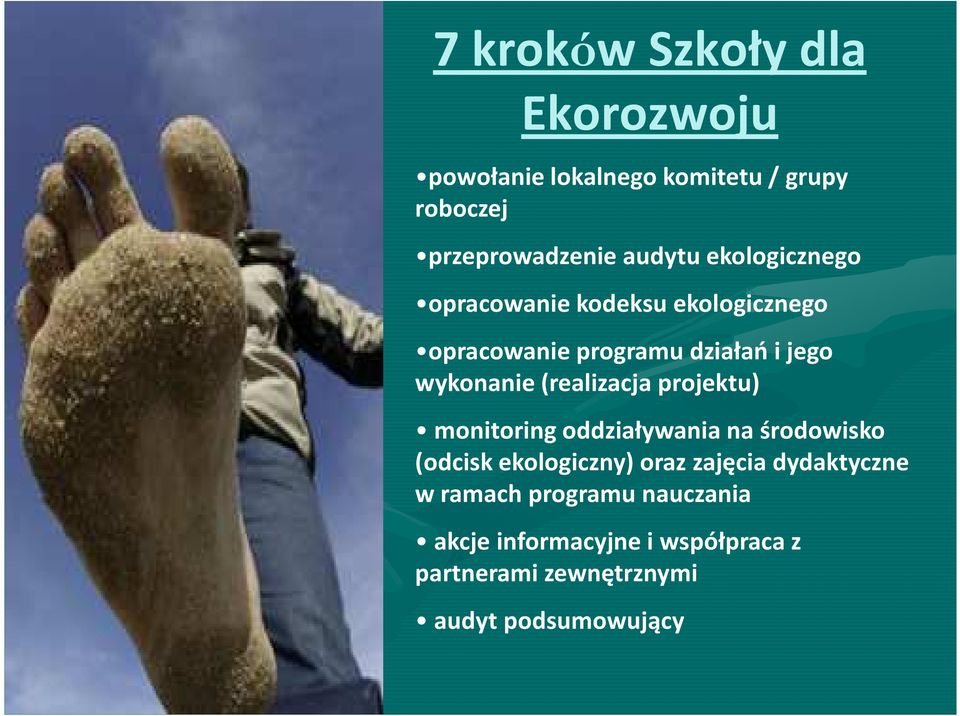 (realizacja projektu) monitoring oddziaływania na środowisko (odcisk ekologiczny) oraz zajęcia