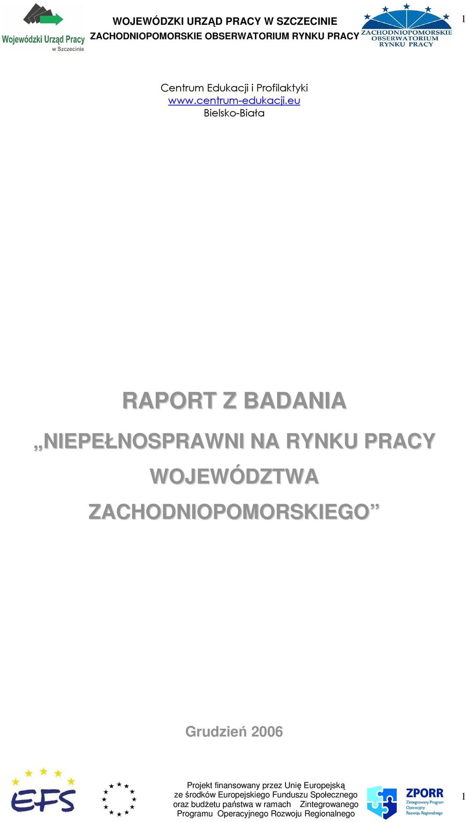 eu Bielsko-Biała RAPORT Z BADANIA