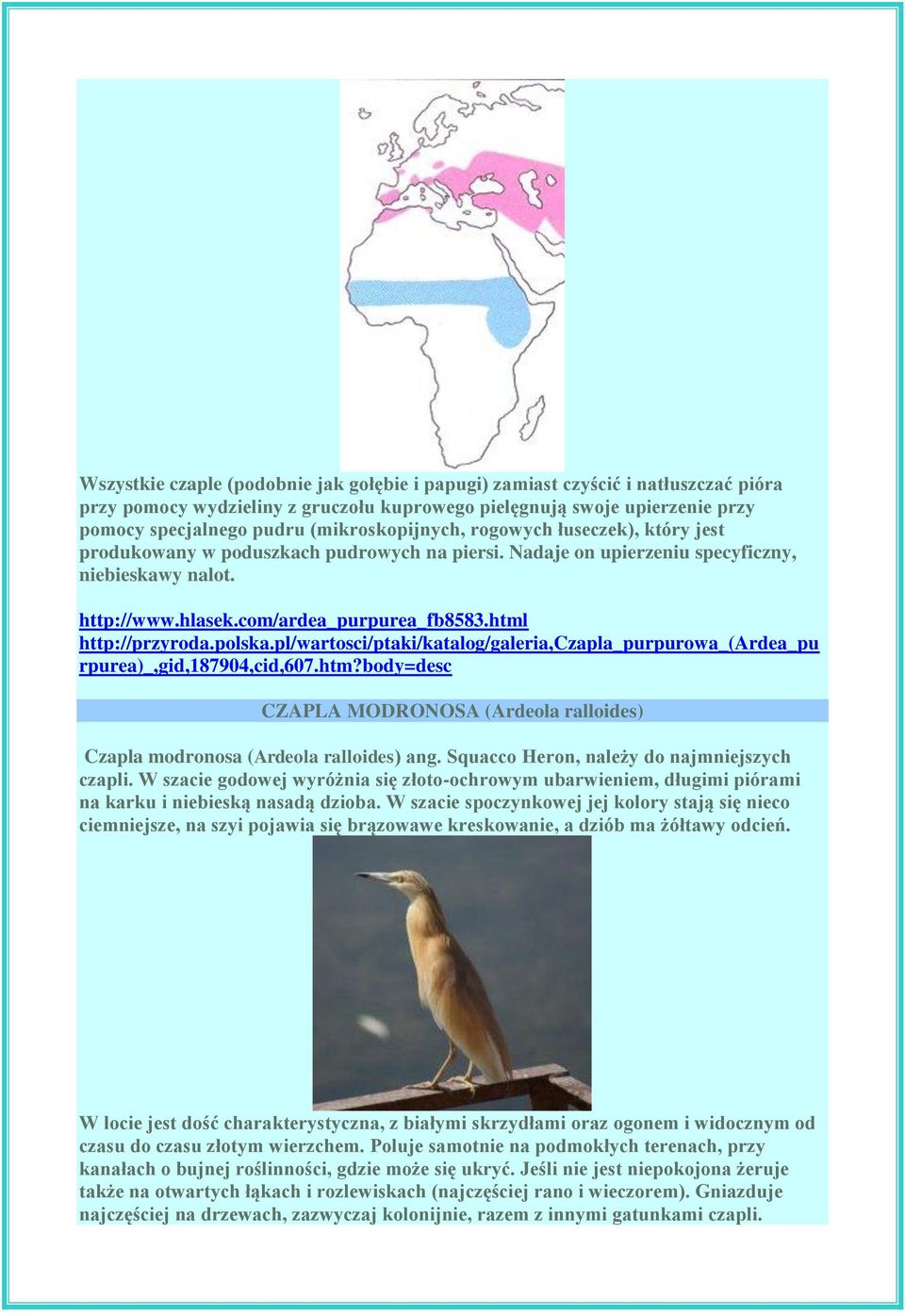 html http://przyroda.polska.pl/wartosci/ptaki/katalog/galeria,czapla_purpurowa_(ardea_pu rpurea)_,gid,187904,cid,607.htm?body=desc CZAPLA MODRONOSA (Ardeola ralloides) Czapla modronosa (Ardeola ralloides) ang.