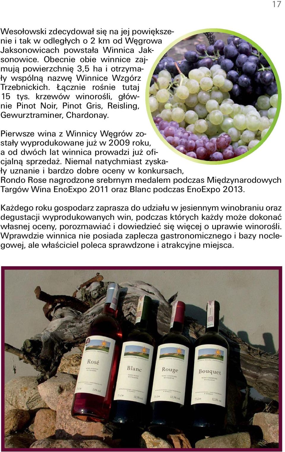 krzewów winorośli, głównie Pinot Noir, Pinot Gris, Reisling, Gewurztraminer, Chardonay.