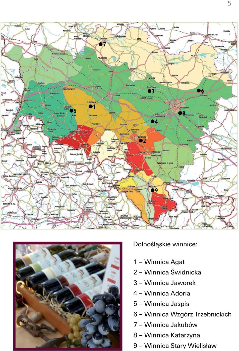 Adoria 5 Winnica Jaspis 6 Winnica Wzgórz Trzebnickich 7