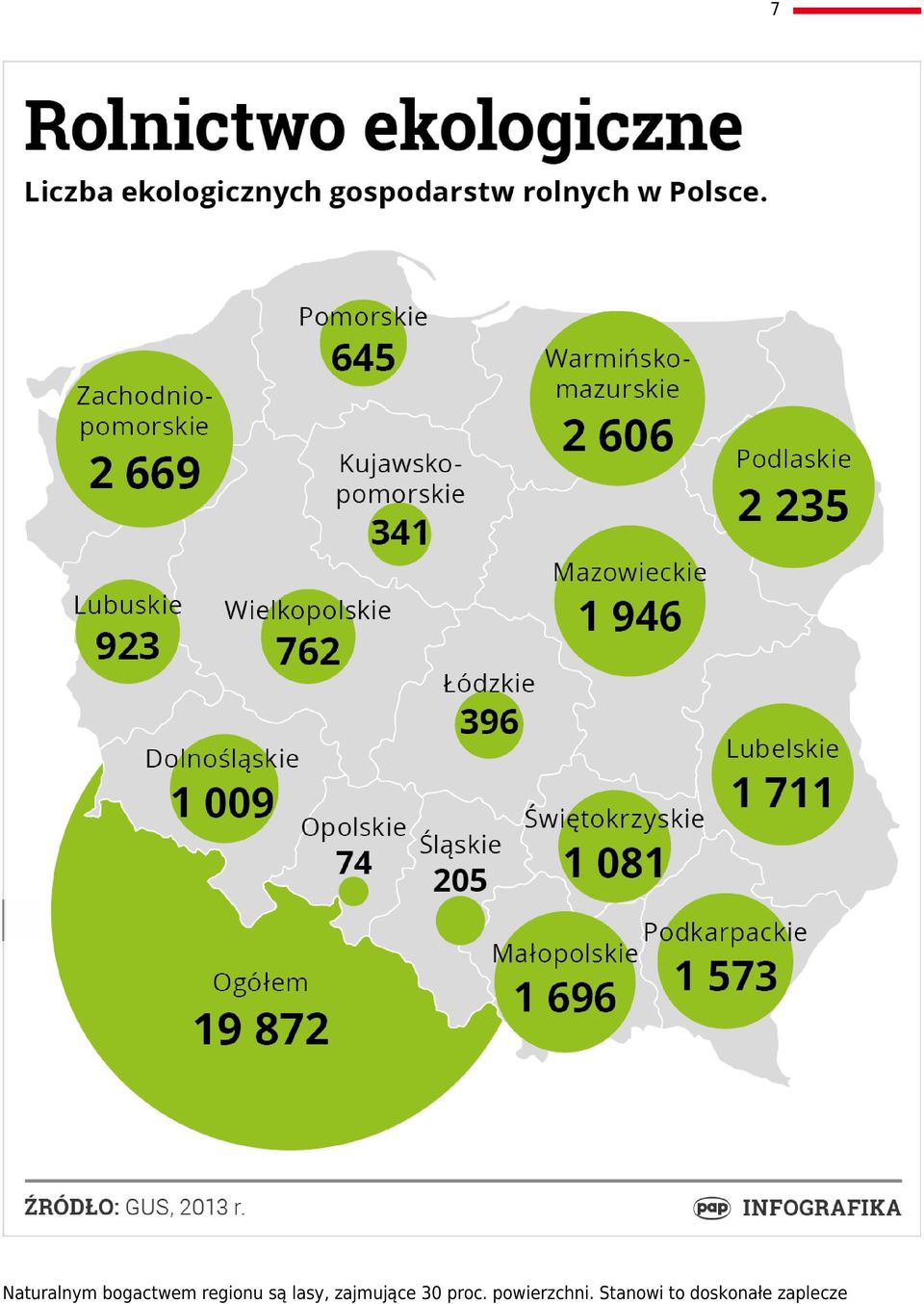 zajmujące 30 proc.