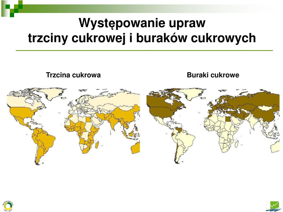 buraków cukrowych