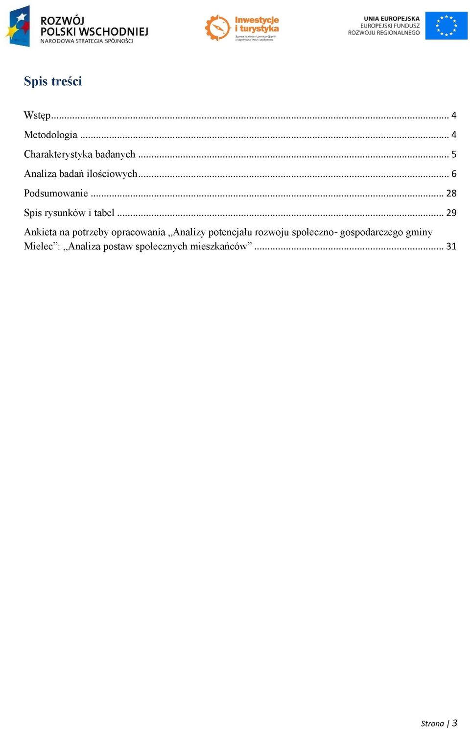 .. 29 Ankieta na potrzeby opracowania Analizy potencjału rozwoju