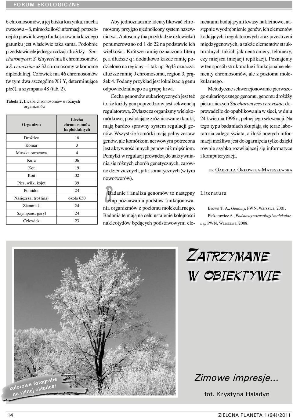 Człowiek ma 46 chromosomów (w tym dwa szczególne X i Y, determinujące płeć), a szympans 48 (tab. 2). Tabela 2.