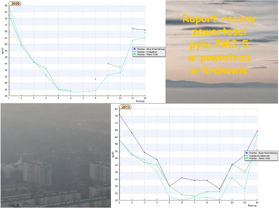 PM2,5 w