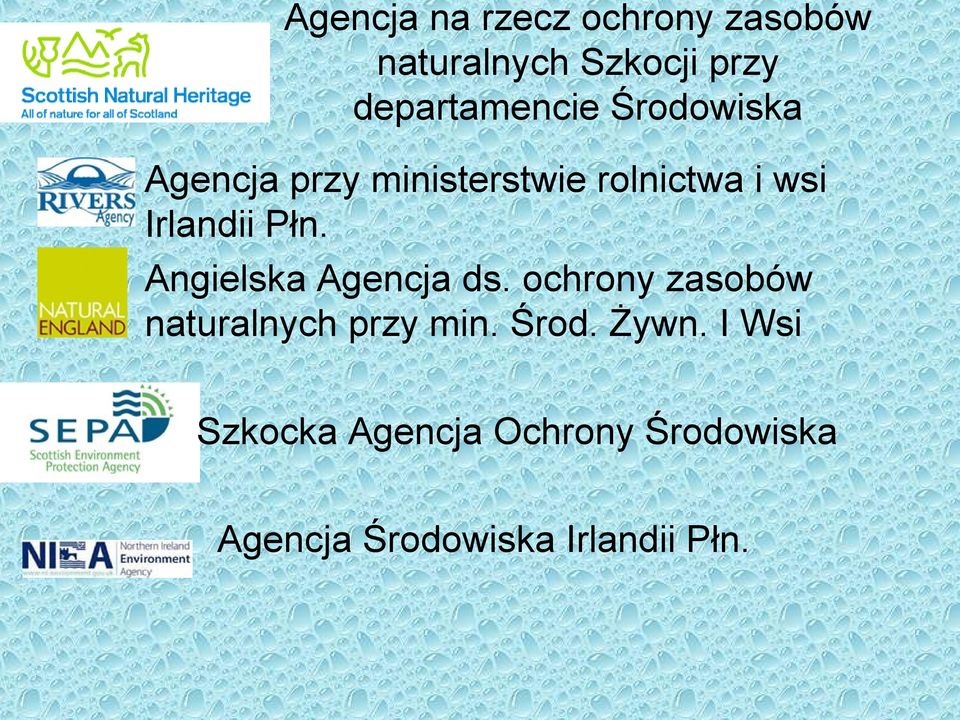 Angielska Agencja ds. ochrony zasobów naturalnych przy min. Środ. Żywn.