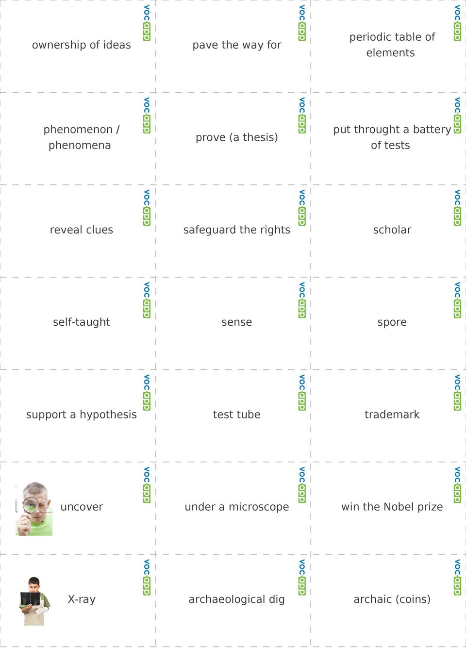 the rights scholar self-taught sense spore support a hypothesis test tube