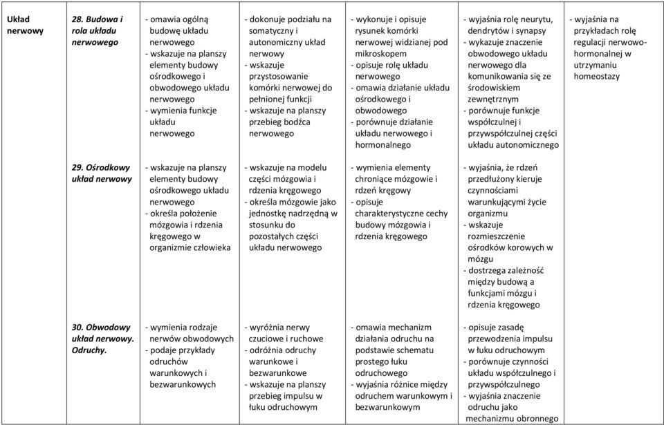 podziału na somatyczny i autonomiczny układ nerwowy - wskazuje przystosowanie komórki nerwowej do pełnionej funkcji - wskazuje na planszy przebieg bodźca nerwowego - wykonuje i opisuje rysunek