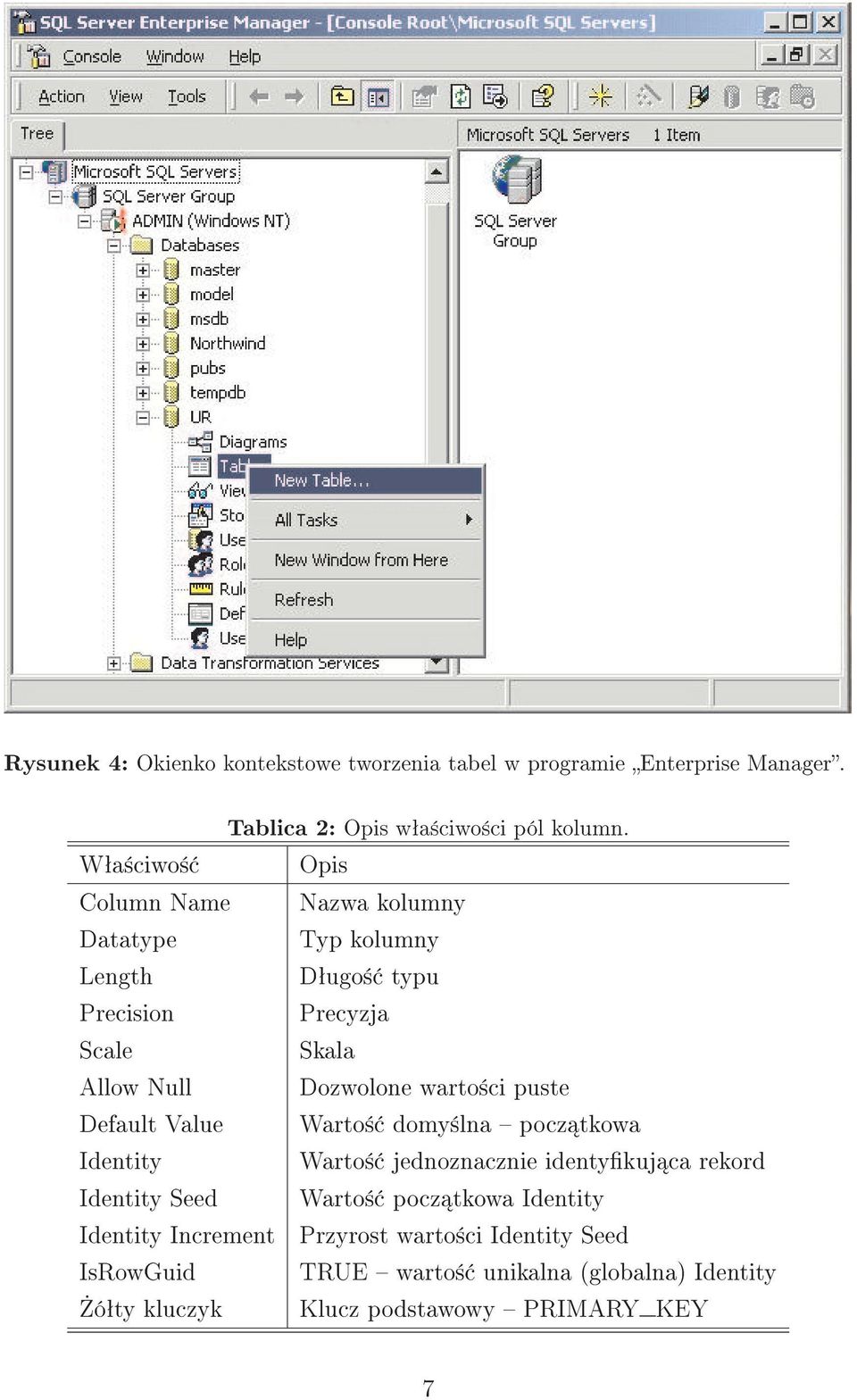 warto±ci puste Default Value Warto± domy±lna pocz tkowa Identity Warto± jednoznacznie identykuj ca rekord Identity Seed Warto± pocz