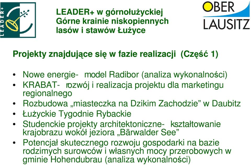 Dzikim Zachodzie w Daubitz ŁuŜyckie Tygodnie Rybackie Studenckie projekty architektoniczne- kształtowanie krajobrazu wokół jeziora