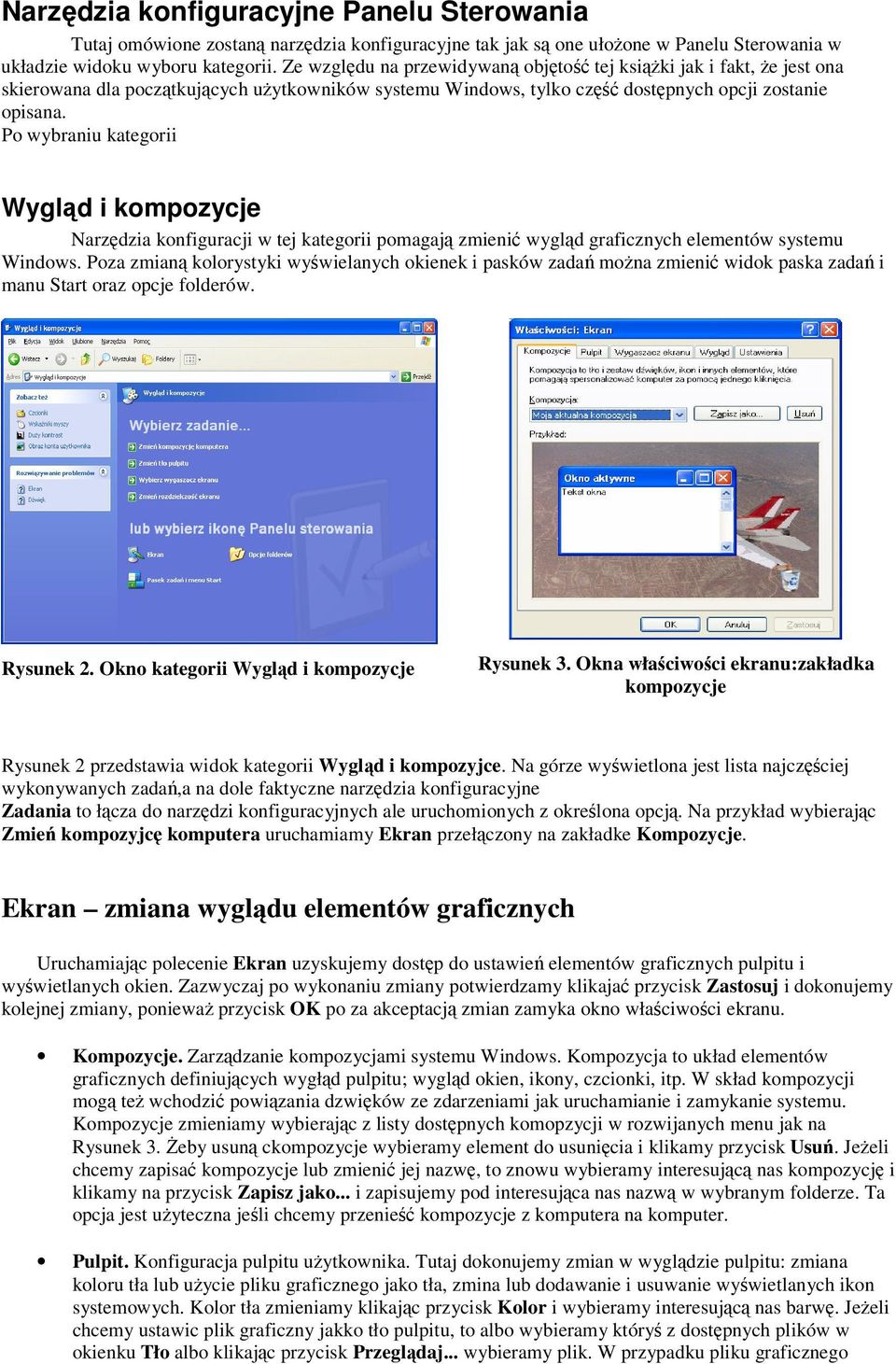 Po wybraniu kategorii Wygld i kompozycje Narzdzia konfiguracji w tej kategorii pomagaj zmieni wygld graficznych elementów systemu Windows.