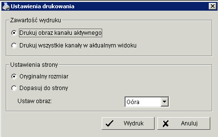 Krok 4: Przechwyconą klatkę możesz zapisać na dysk (Zapisz) lub skopiować do schowka (Kopiuj). Aby zapisać musisz wskazać folder zapisu oraz wybrać format obrazu (BMP or JPEG).