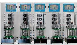 Specyfikacja techniczna bioreaktora zbiornikowego powinna obejmować : - Zakres zastosowań - Zakres objętości użytkowej - Opis konstrukcji, w tym mieszadła - Opis systemu ogrzewania / chłodzenia /