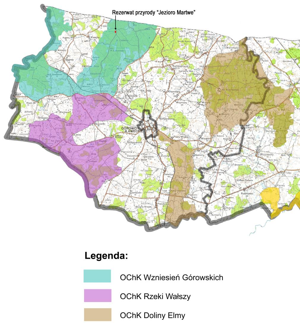 Na terenie gminy występuje 1 rezerwat przyrody (lokalizację rezerwatów w odniesieniu do terenu gminy przedstawia Rys. 4): Rezerwat przyrody Jezioro Martwe o powierzchni 17,30 ha, ustanowiony w 1970 r.