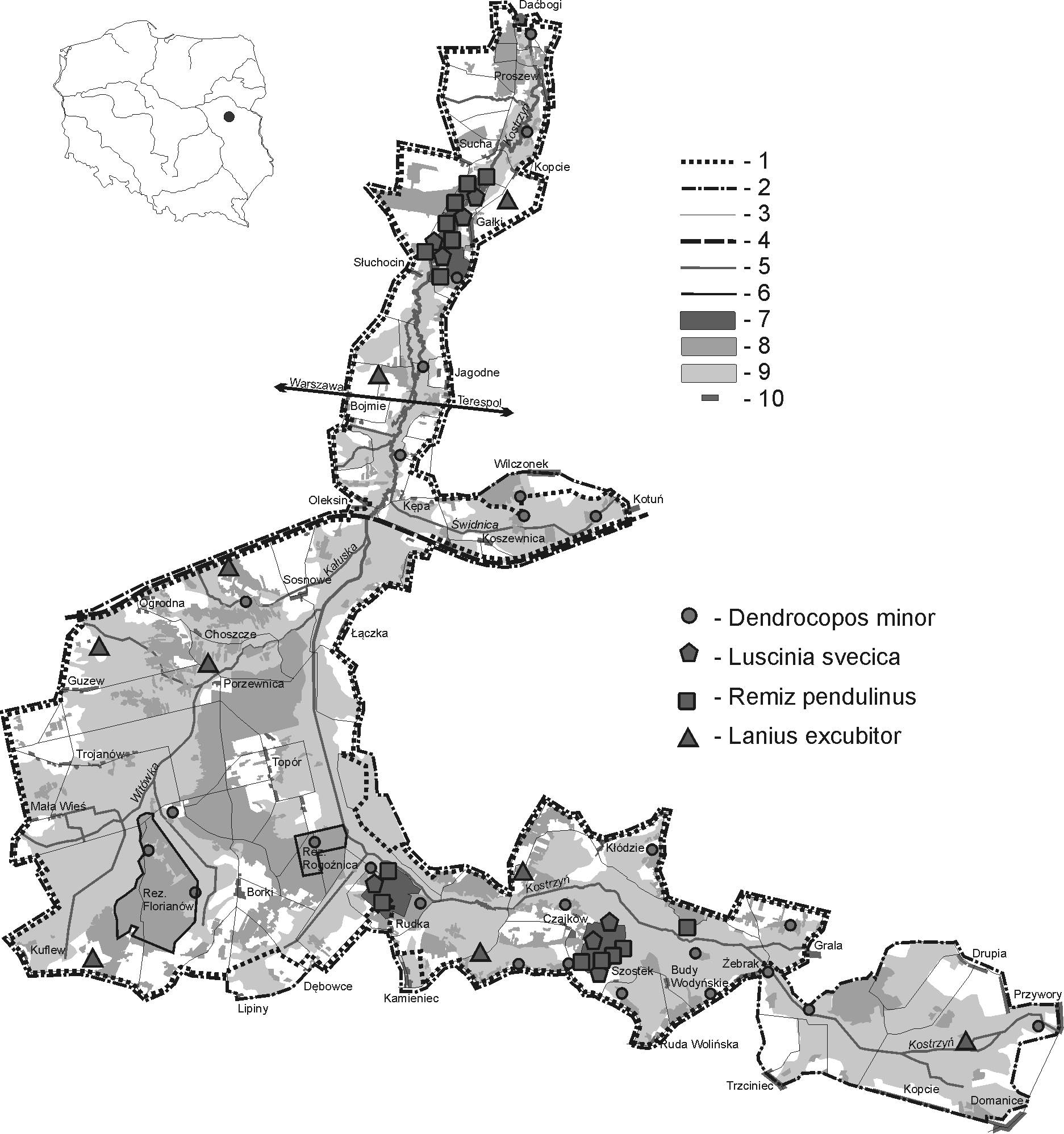 Kulon 16 (2011) 55 Ryc. 4. Rozmieszczenie wybranych gatunków ptaków: Oznaczenia jak na ryc. 1 Fig. 4. The distribution of selected bird species. Explanations as in Fig.