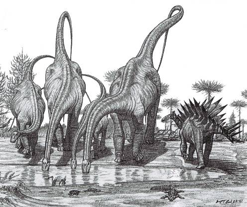 Zróżnicowanie terapsydów,, z których pod koniec triasu wyewoluowały y ssaki Powstanie tekodontów, z których wyewoluowały dinozaury, a po wymarciu terapsydów w końcu triasu zdominowały