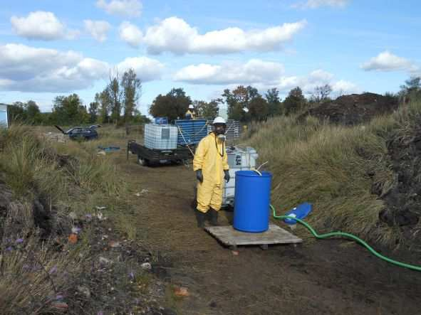 Timbre -opcje remediacji Udoskonalenie metod remediacji in-situ or on-site Przemywanie gleby in-situ: efektywny odzysk środka remediującego - UFC Fitoremediacja: usuwanie metali ciężkich oraz