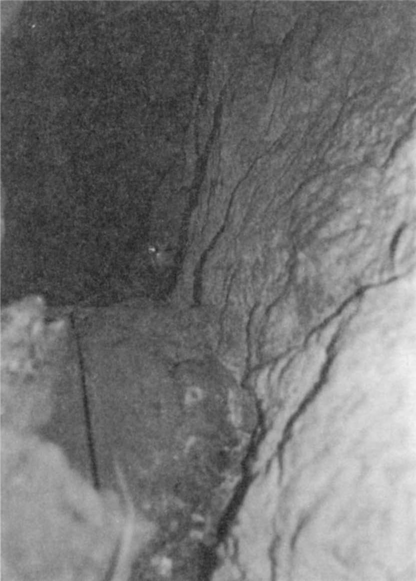 R. Paszkiewicz et al. Chiropterofauna Pienin 45 Ryc. 1. Wejście do Jaskini w Ociemnem. The entrance to Ociemne cave. Ryc. 2. Wnętrze Jaskini w Ociemnem. The inside of Ociemne cave.