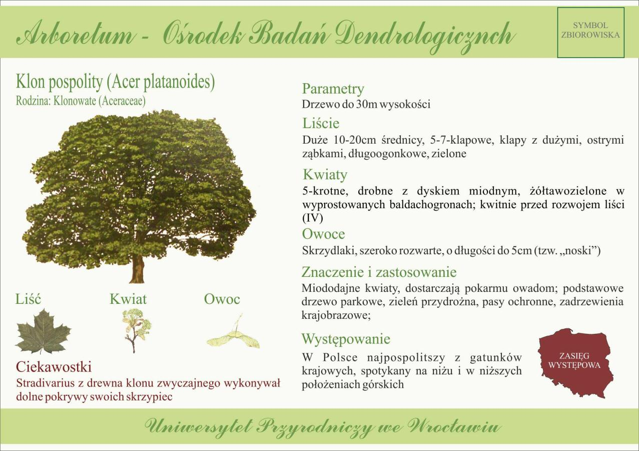 Przykładowa tabliczka opisowa kolekcji roślin format A4 UWAGA!