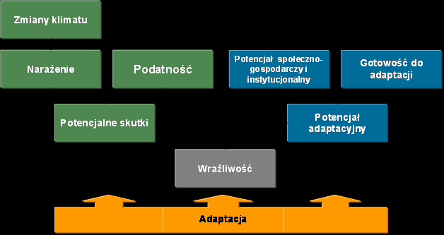 Dostosowanie czyli adaptacja Diagram pojęciowy