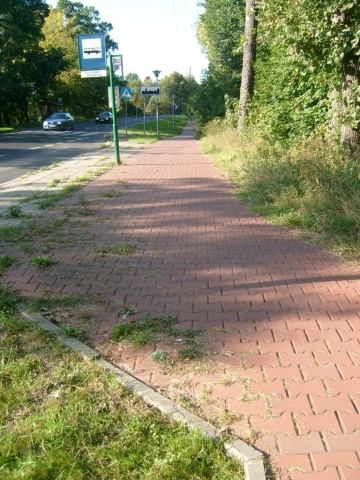 Zegadłowicza_002SK/1890-2000(SKR) -Trawa rosnąca na obrzeżach drogi